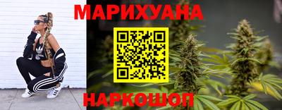 индика Моздок