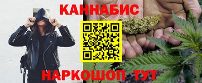 индика Моздок