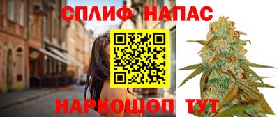 индика Моздок