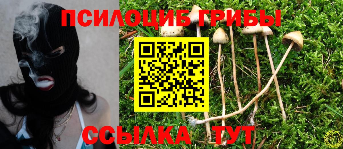 продажа наркотиков  Псилоцибиновые грибы Psilocybe  Фролово  Вход с VPN  Галлюциногенные грибы Psilocybe 